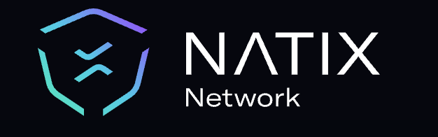 CEO & Co-Founder of NATIX Network
